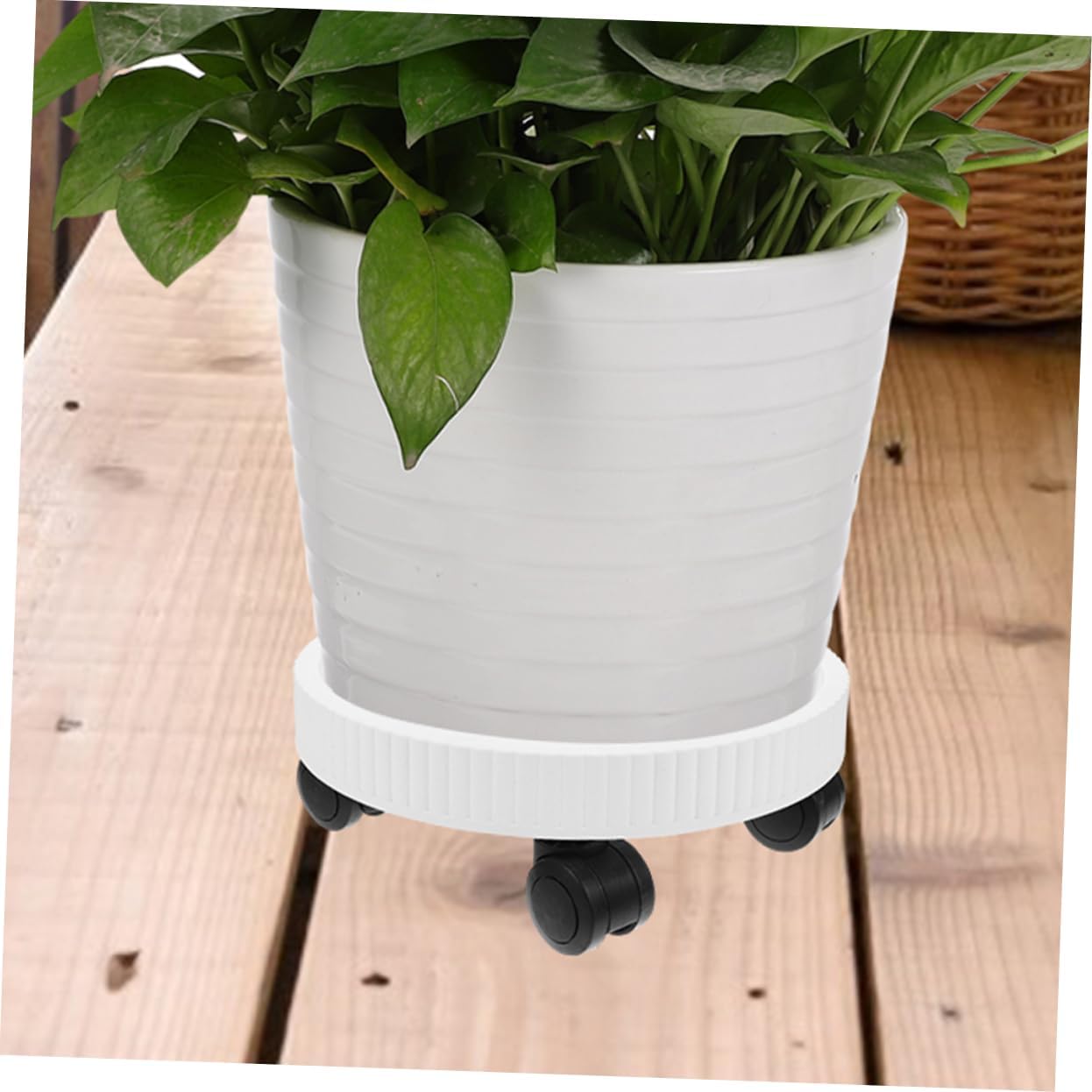 Plant Tray with Wheels Heavy Duty Rolling Planter Trolley for Potted Plants Plant Stand for Use Convenient Garden Mover for Easy Mobility