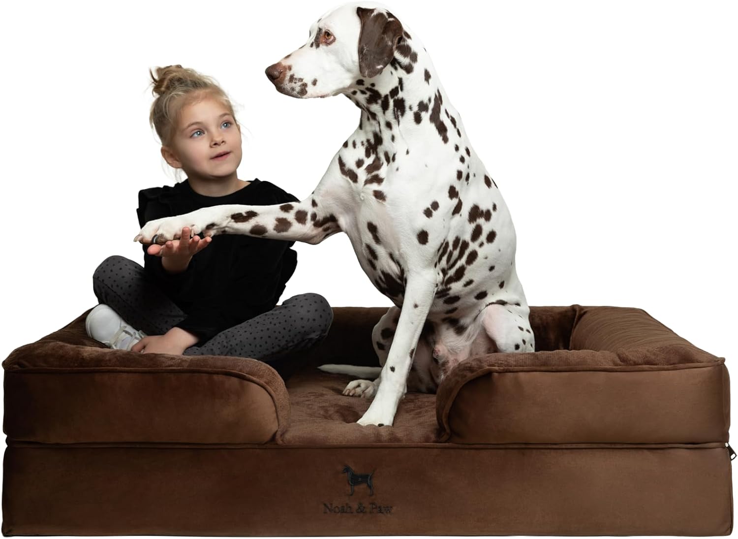 NOAH & PAW XL Dog Bed, 45x35x11 Inch, Orthopedic Large Dog Beds, Eggshell Memory Foam Infused with Cooling Gel, Inner Cover, Waterproof, Machine Washable (Velvet Sofa Collection) Brown X-Large,different colors 