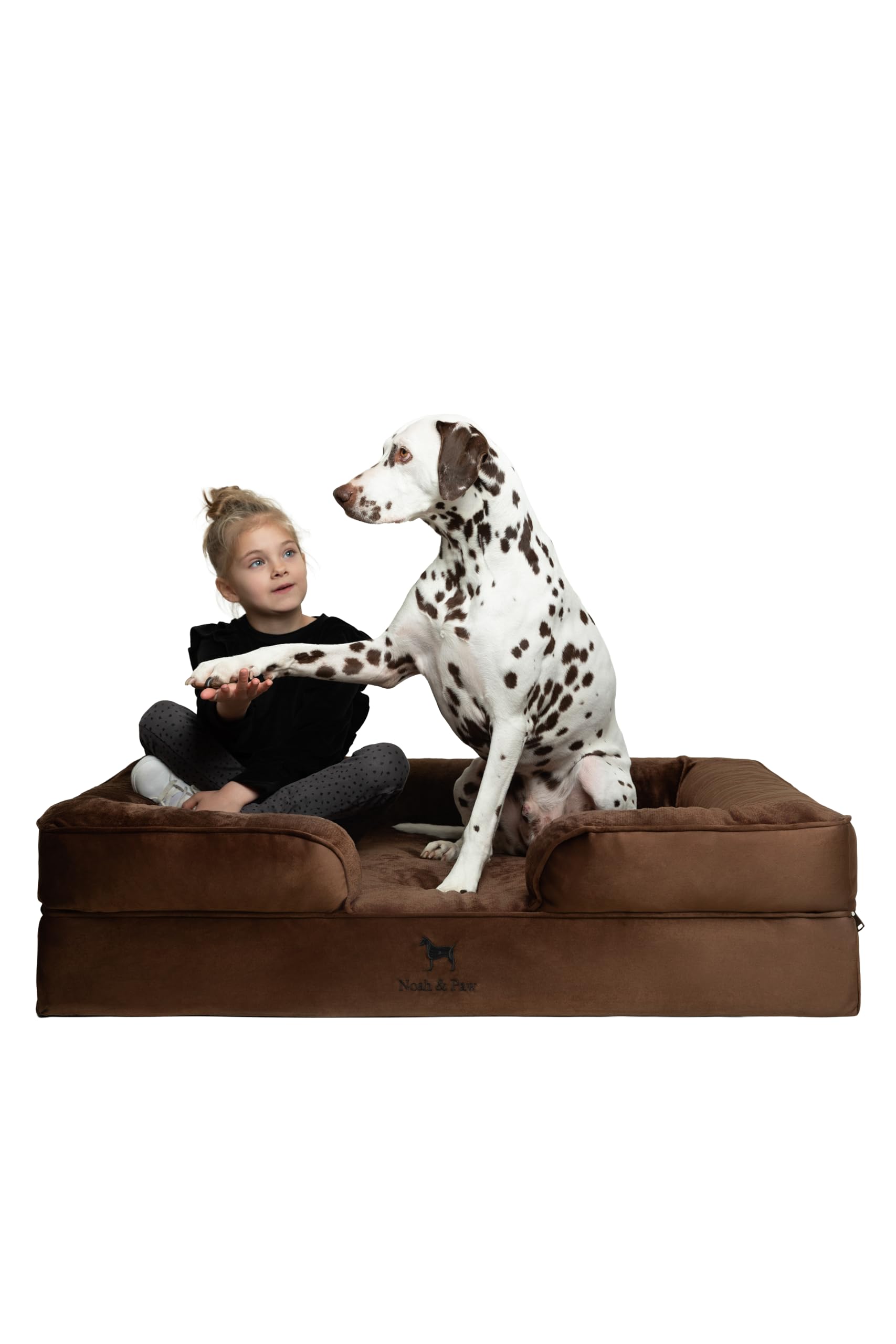 NOAH & PAW XL Dog Bed, 45x35x11 Inch, Orthopedic Large Dog Beds, Eggshell Memory Foam Infused with Cooling Gel, Inner Cover, Waterproof, Machine Washable (Velvet Sofa Collection)