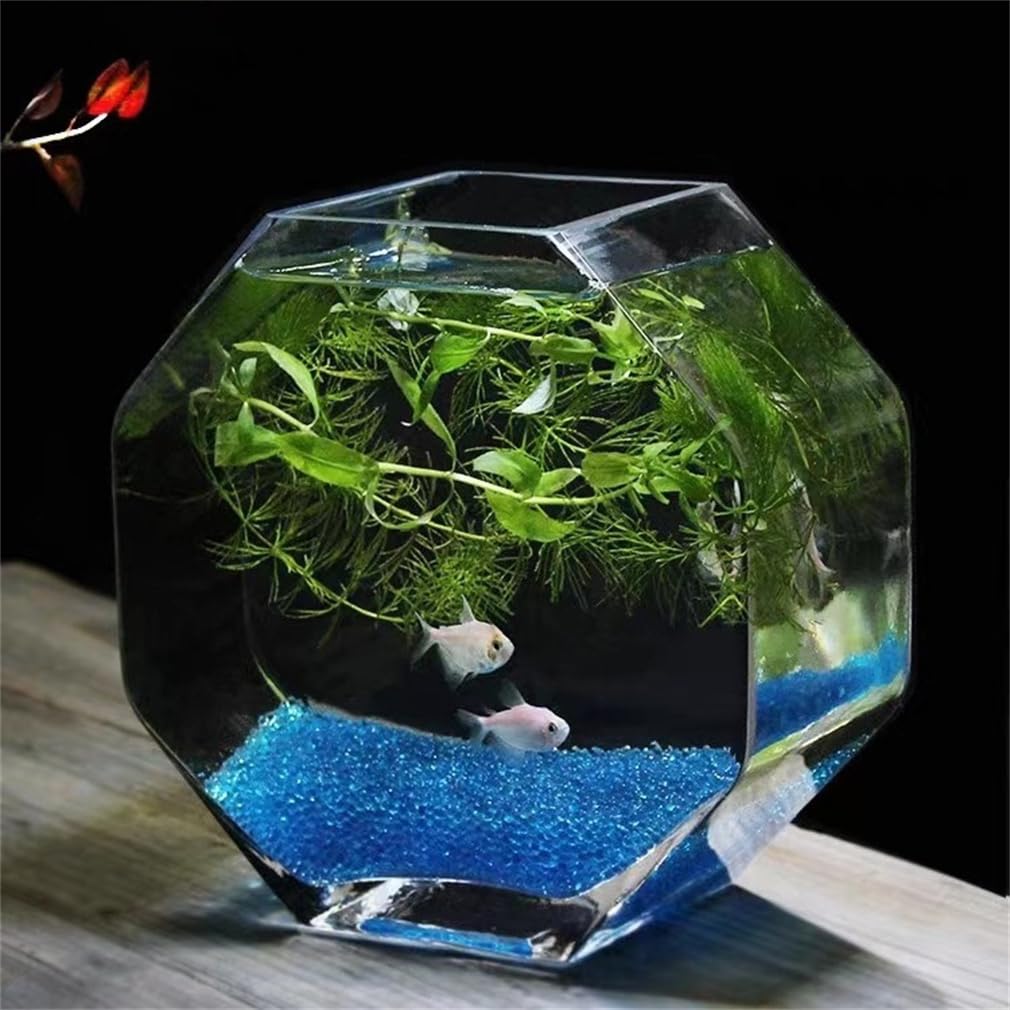 Amazon | 金魚鉢 水槽 小シンク 六角形 おしゃれ ガラス 苔テラリウム