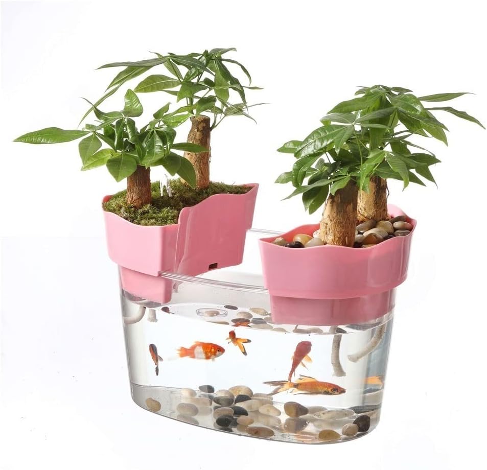 Fish Tank Creative Fish Tank Guests Small Turtle Goldfish Tank Desktop Home Ecological Fish Tank Landscaping Bonsai Glass Fish Tank(13.78IN)
