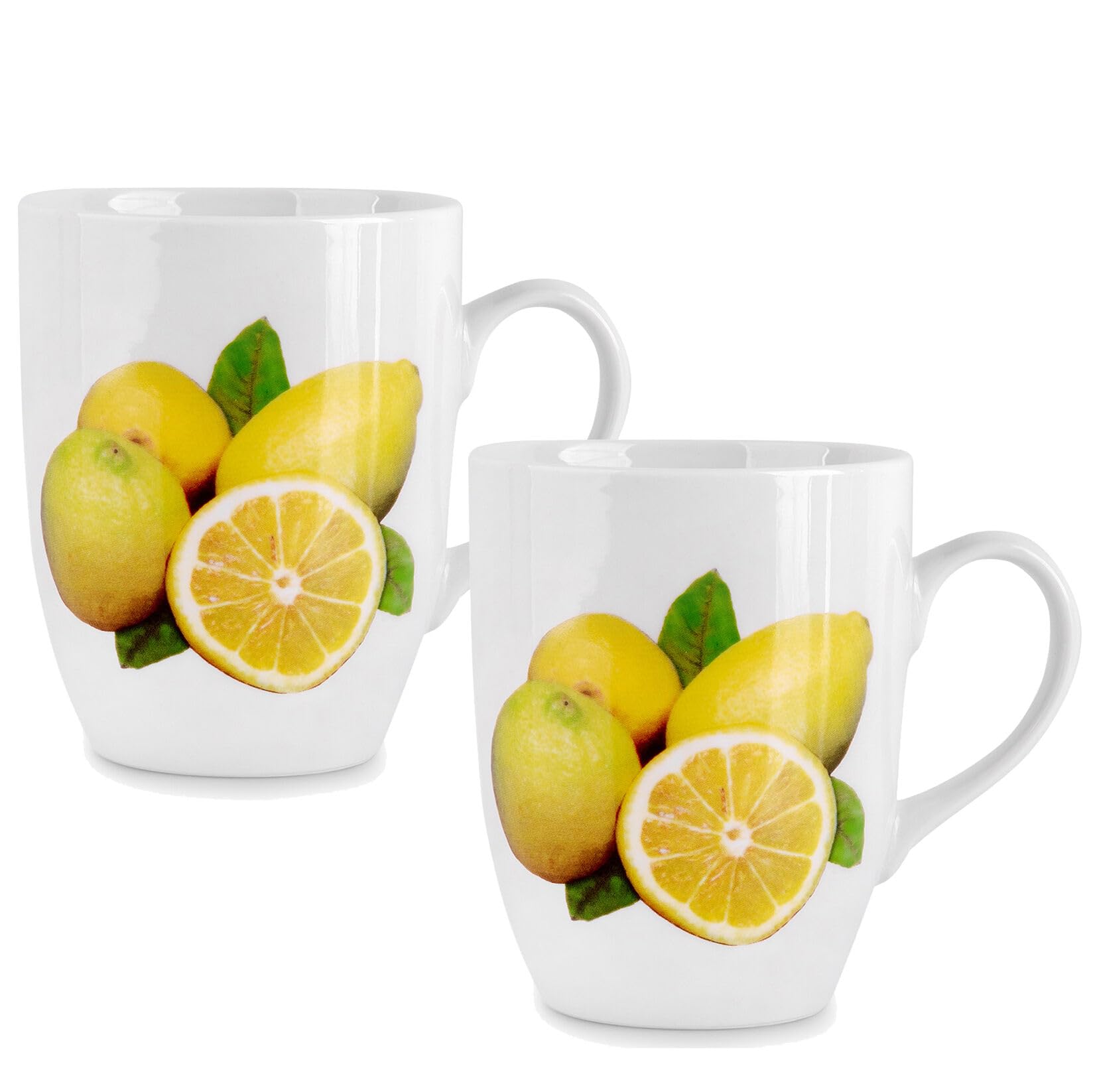 Tea Party Set for Women Coffee Cups for Hot Beverages 12.51 fl oz (370 ml) Bohemian Porcelain Mug Set of 2 Wedding Tea Cup and Saucer Set for Adults (Juicy Lemons)