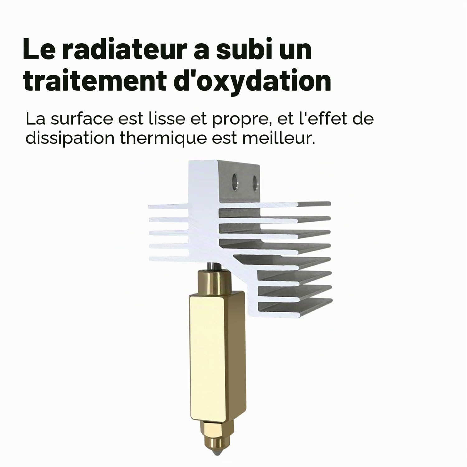 0,2 mm Hotend en céramique pour Centauri Carbon Hotend avec buse en laiton acier trempé, élément chauffant, extrudeuse, hot end de rechange, tête d'impression pour imprimante 3D Elegoo