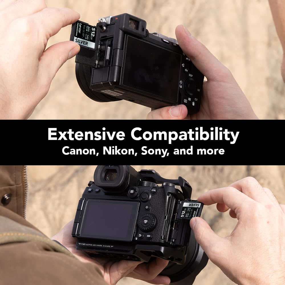 Lexar Tarjeta de memoria SD plateada de 512 GB, lectura de 205 MB/s, 4K, V30, U3, UHS-I | Compatible con Canon, Sony, Nikon, ideal para fotógrafos profesionales, videógrafos, entusiastas, LSDSILV512G-BNNNU