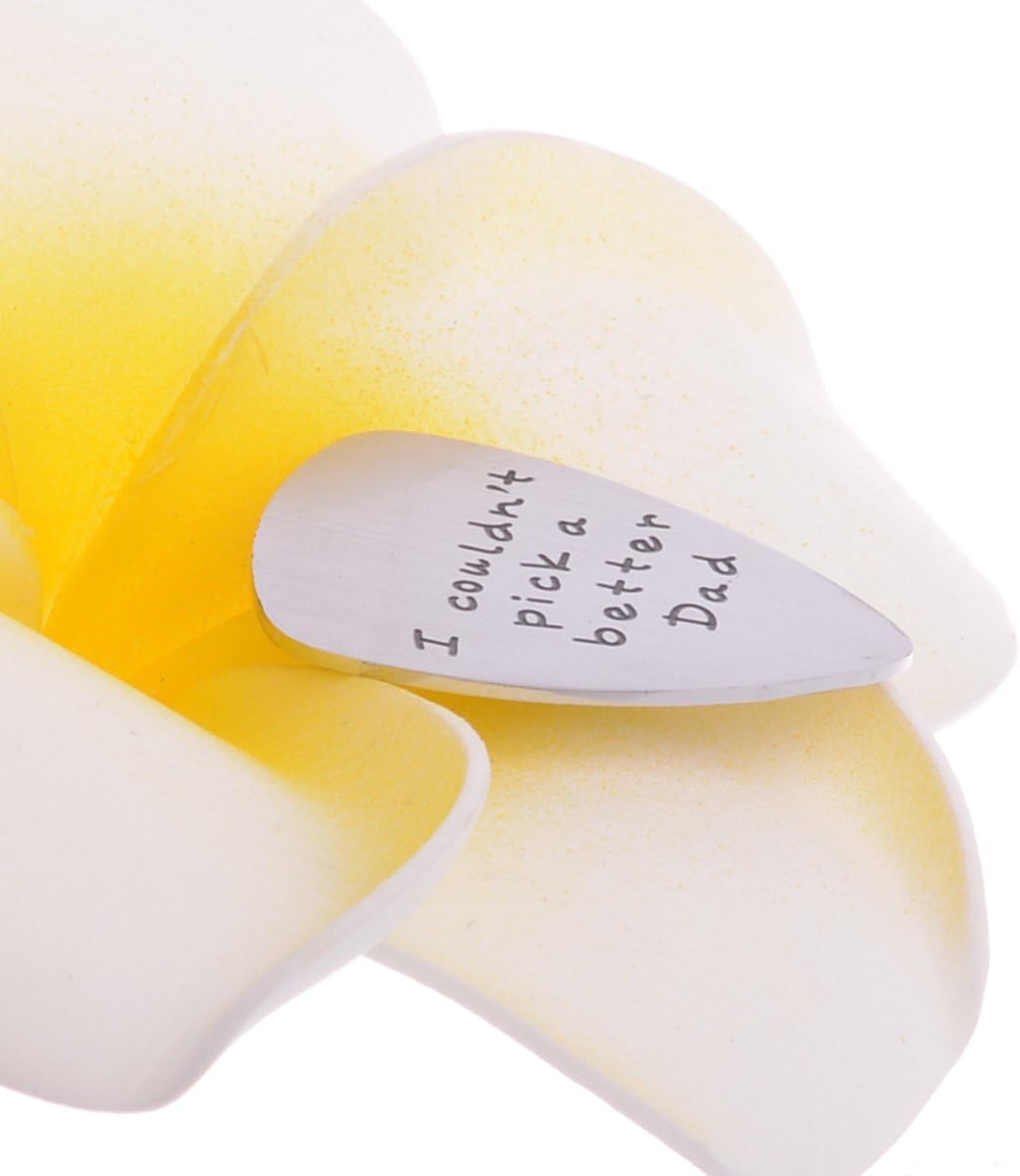 I Couldn't Pick a Better Dad Mens Stainless Steel Guitar Pick Gift for Daddy Papa Father - Image 4