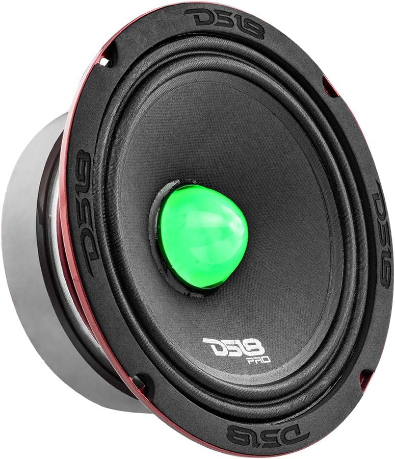 DS18