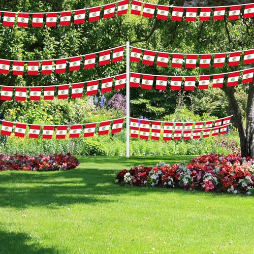 Image of AhfuLife 30 Pcs Peru String Flags for Independence Day Decorations, Small Peruvian Flag Bunting Banner - Double Sided for National Day Festival Party Decorations (5.5x8.3 Inch-33 Ft)