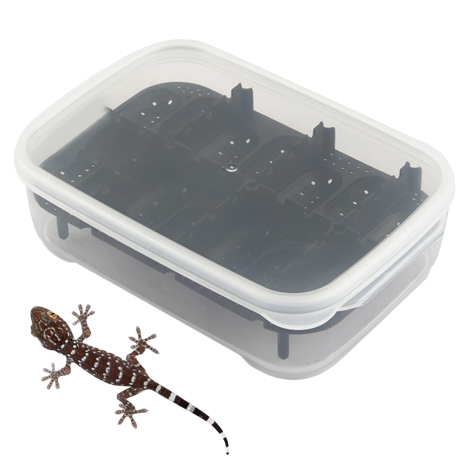 Terrarium pour reptiles cage d'élevage geckos boîte transparente scorpions