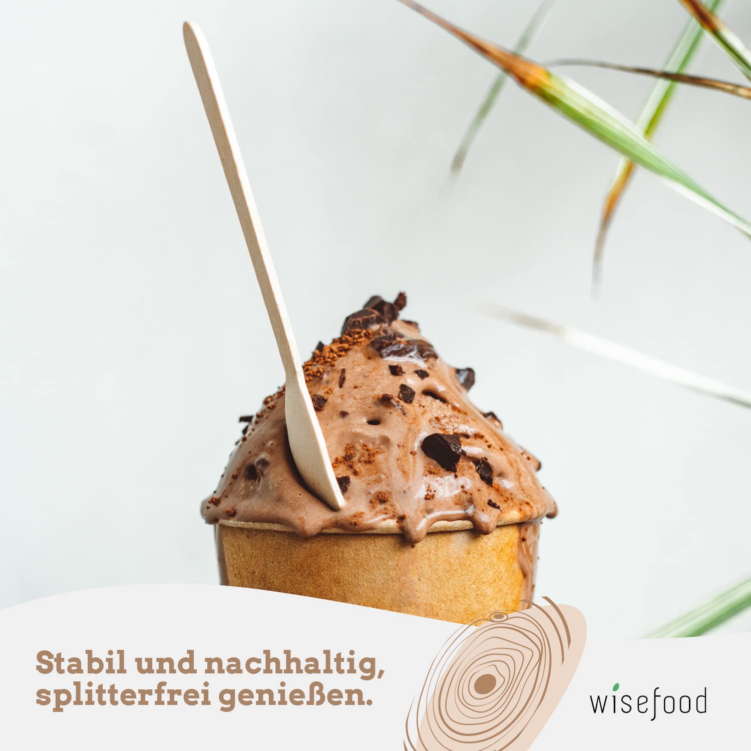 wisefood Cuillères à glace en bois - Lot de 100 cuillères jetables de 9,5 cm - Cuillères à dessert biodégradables - Naturelles, stables, respectueuses de l'environnement - Mini cuillères pour verres à