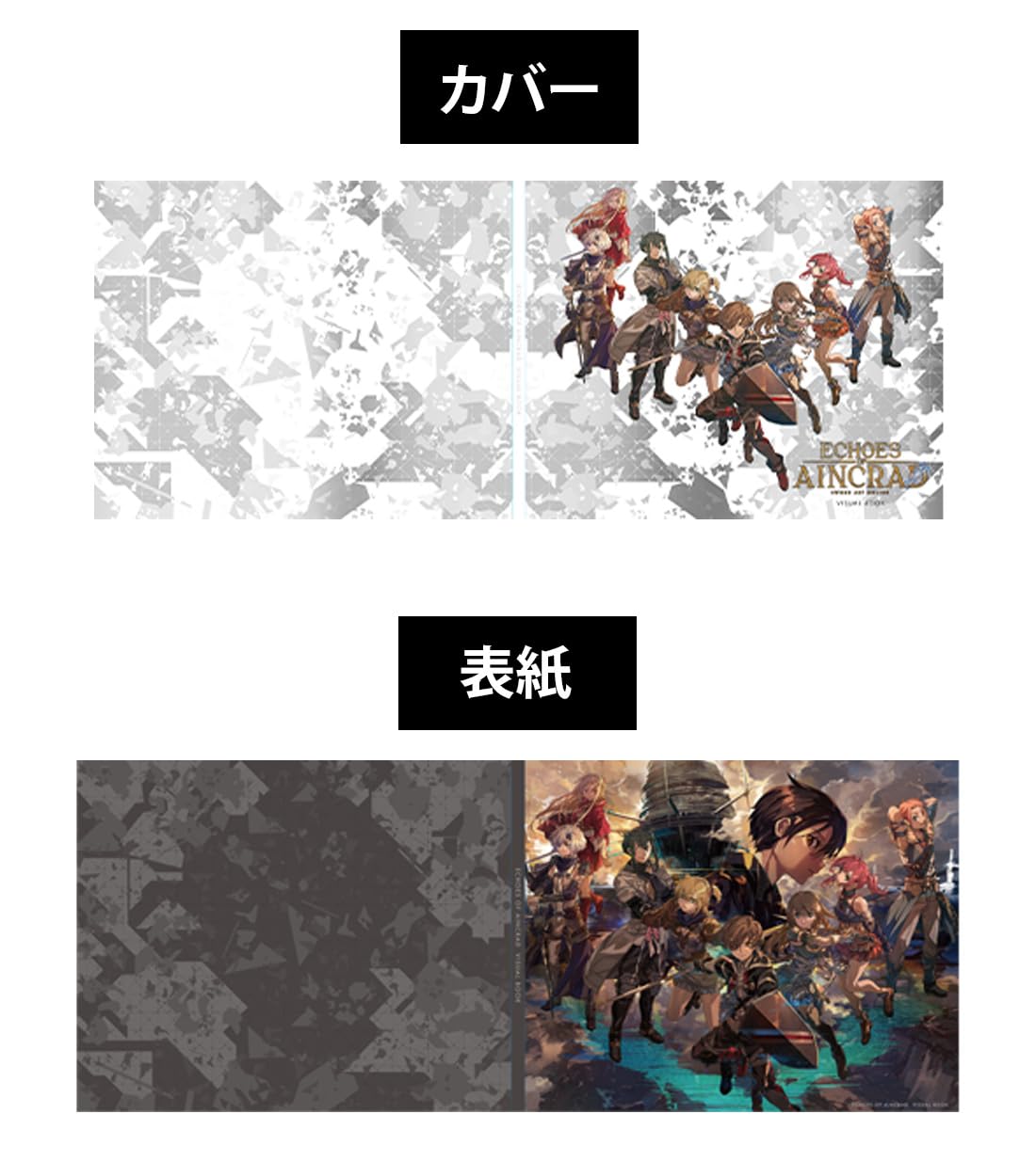 Amazon.co.jp: 【Amazon.co.jpエビテン限定】Echoes of Aincrad