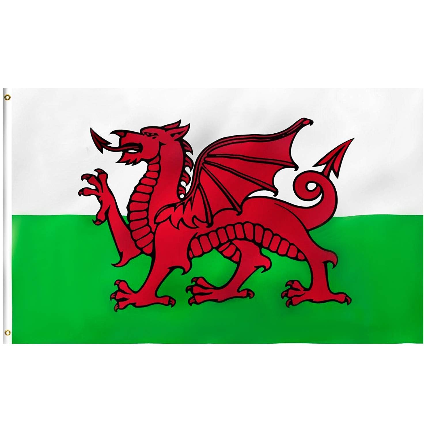 Lixure Wales Flag The Red Dragon 6x10FT(180x300cm) Polyester -Vivid Color and Double Stiched National Flags 100% Polyester Banner witn 2 Brass Grommets for Outdoor