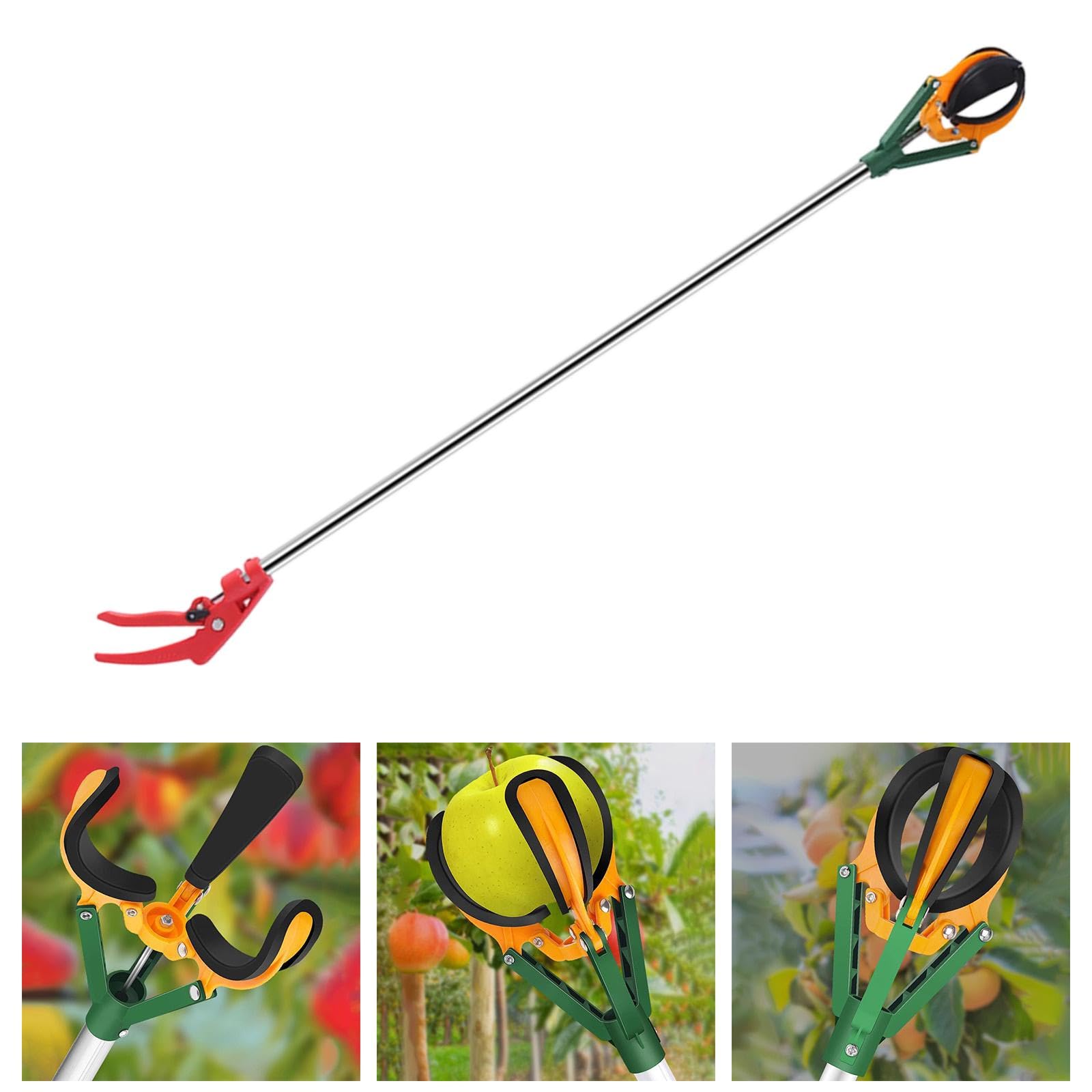 predolo Raccoglifrutta, attrezzo da Giardinaggio Leggero, Pratico e Multifunzionale, Robusto, Ideale per fattorie, di pere e
