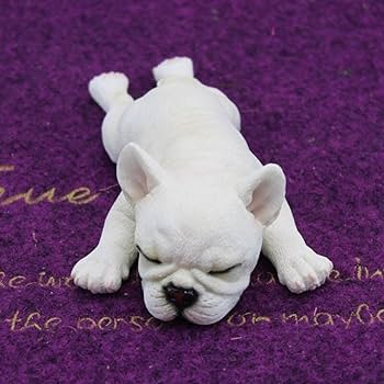 61R2z6MnbSL._AC_UF350, 61R2z6MnbSL._AC_UF350,