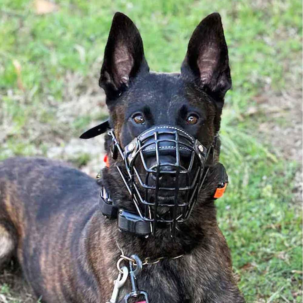 Bozal de Metal para Perro (tamaño 39) para Malinois, Pastor alemán, Husky, Cesta de Alambre Transpirable, Acero Recubierto de plástico Duradero