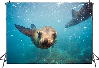 7x5FT Photography Backdrops Australian Fur Seals Looking Camera While Swimming Playing Underwater Background Cloth Portrait Photo Booth Studio Prop Banner Photographers Home Office Decor Supplies