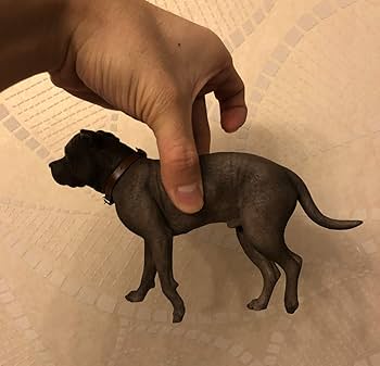 Amazon | Mr.Z 1/6 サイズ アメリカンスタッフォードシャー