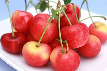 Amazon.co.jp: ワシントン州産 レイニアチェリー 約1kg 7月上旬