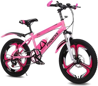 FUFU Mountain Biking，Youth Primary School Students Variable Speed Boys Children 18/20 Inch Racing Car，3 Colors