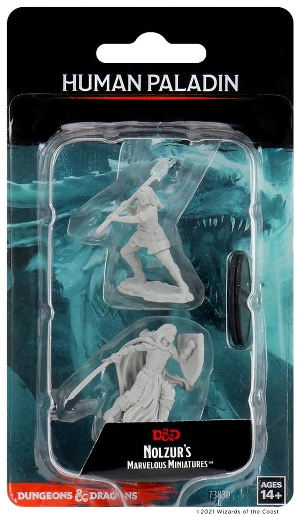 Nolzurs Marvelous Miniatures Wizkids - D&D Human Female Paladin - WZK73830