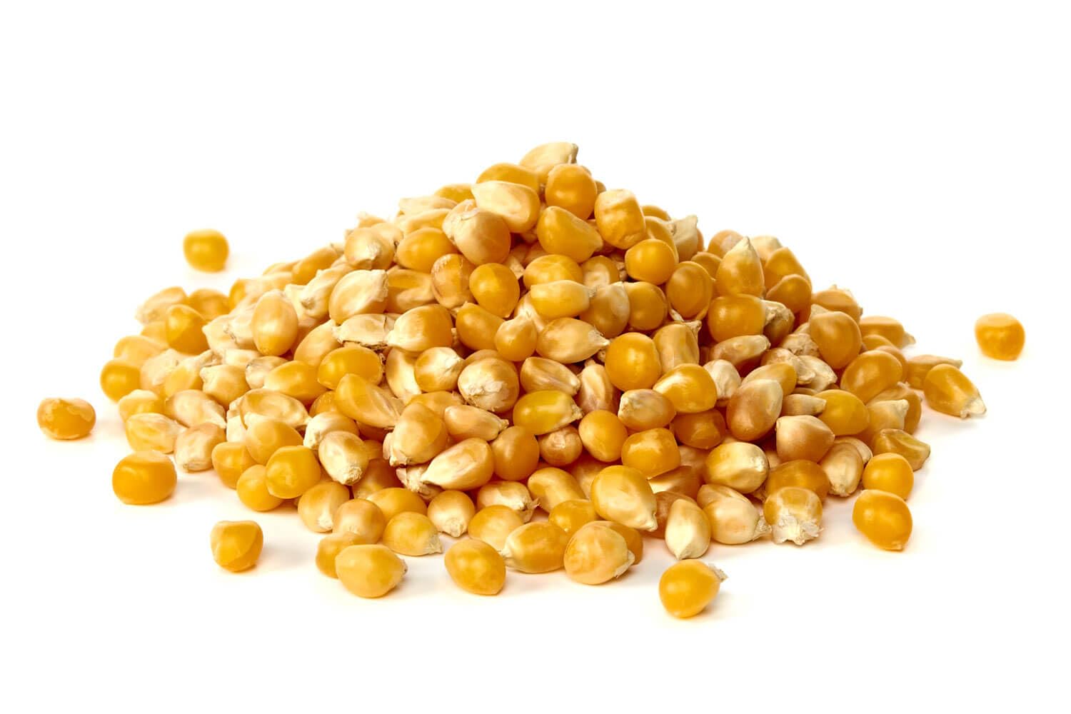 Akolity Maize (Dry Corn Seeds) for Birds 1 Kg Food for Garden Animals, Doves, Squirrel, Finches, Waxbills, Budgies, Lovebirds, Cockatiels, Chicken (B0CQRJGFP9) Amazon Price History, Amazon Price Tracker