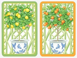 Caspari Large Print Playing Cards, Citrus Topiary - 2 Decks (PC146J)