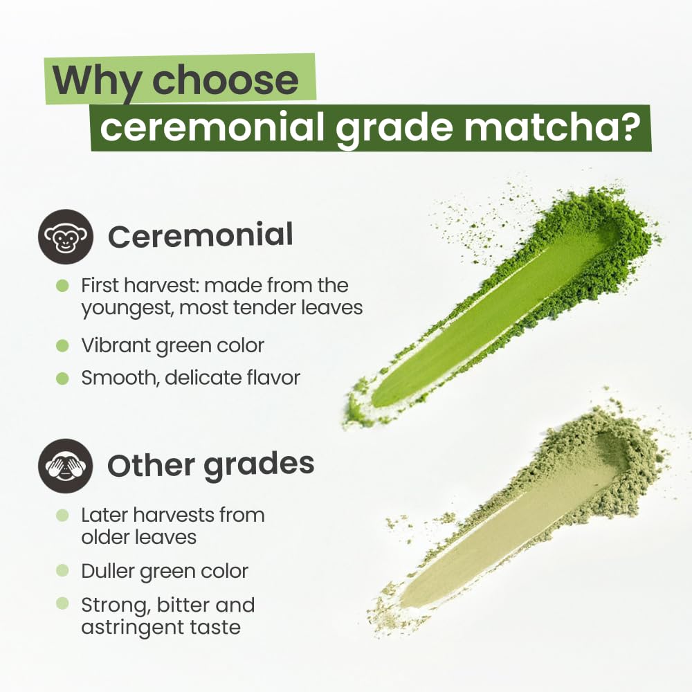 PureChimp Ceremonial Grade Matcha Powder 1 75oz Pure Japanese Matcha Ceremonial Grade Tea Shade-Grown in Kagoshima Antioxidant-Rich Green — view 3