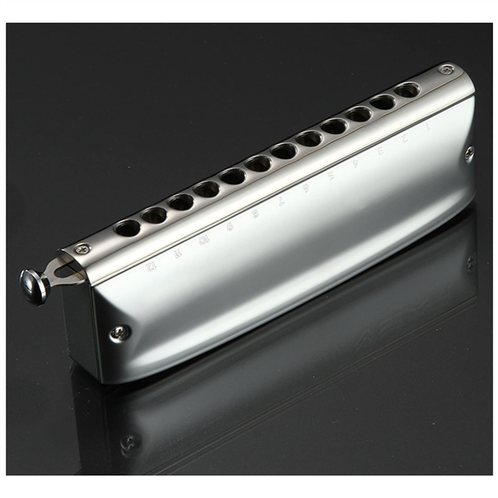 Armonica Cromatica 12 Fori Placche di Copertura in Acciaio Inossidabile Armonica A Bocca Strumenti Musicali Professionali Armonica per Principianti