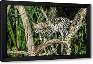 ArtDirect Brazil-Pantanal Ocelot on tree branch Custom Framed Art Print Giclee Print or Canvas Options with Various Sizes and Customization by Jaynes Gallery (404302)