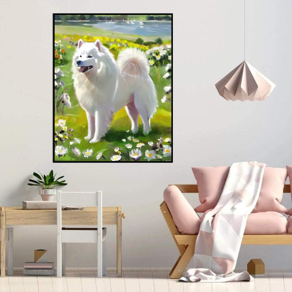 Paint by Numbers for Adults Beginners Samoyed Dog Gift Birthday Anniversary or Any Festival. DIY Acrylic Painting Kit for Room Decor Canvas 12x16inch(30x40cm) Frameless