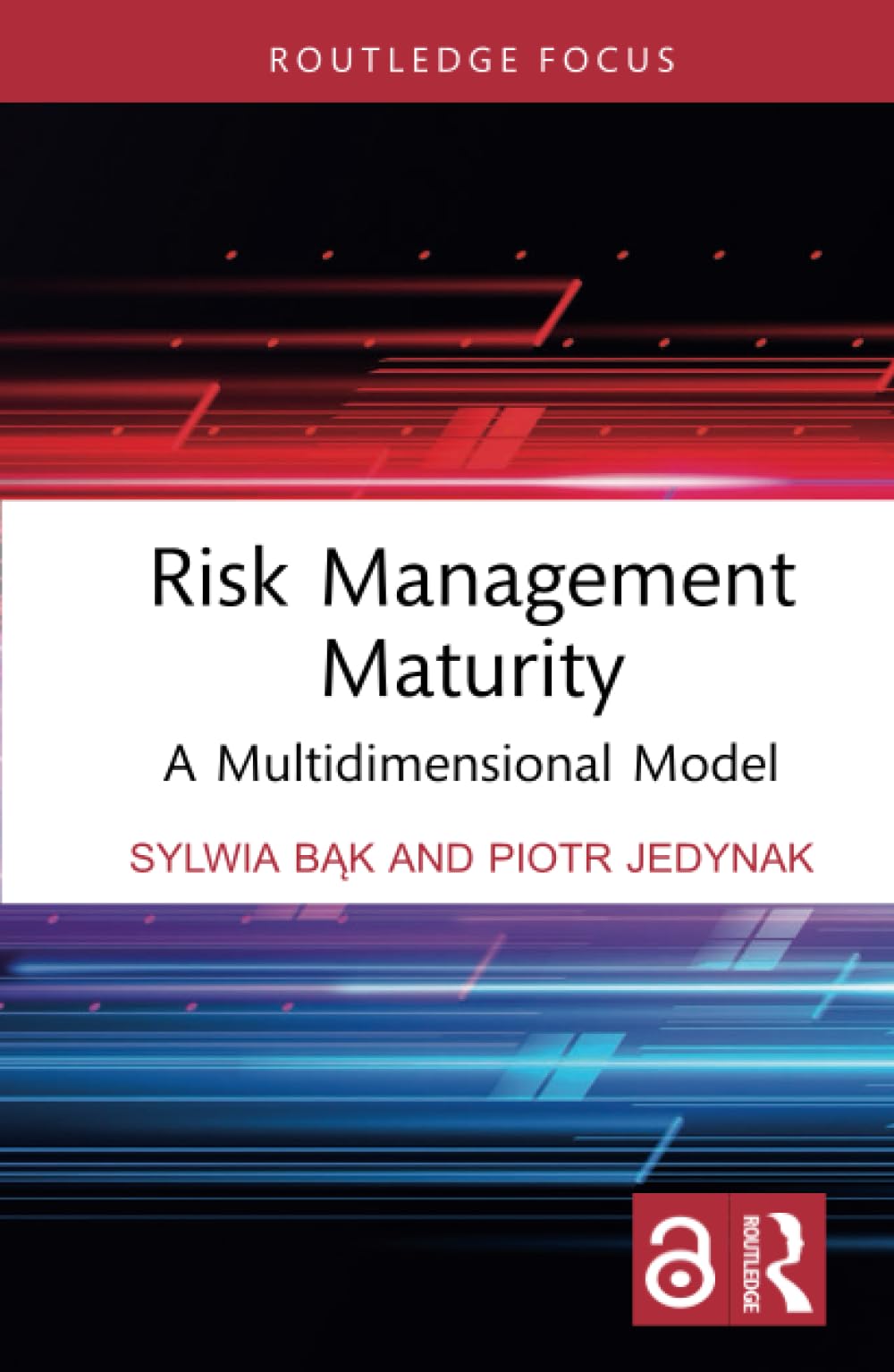 Buy Risk Management Maturity: A Multidimensional Model (Routledge Focus ...