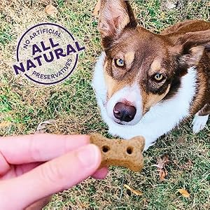 Old Mother Hubbard by Wellness Classic Liv'R'Crunch Natural Dog Treats, Crunchy Oven-Baked Biscuits, Ideal for Training, 20 ounce bag Old Mother Hubbard by Wellness Classic Liv’R’Crunch Natural Dog Treats, Crunchy Oven-Baked Biscuits, Ideal for Training, 20 ounce bag