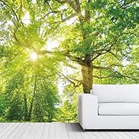 Wall Mural Green Forest Nature Landscape Removable Self-Adhesive Wallpaper Wall Decoration for Bedroom Living Room - 66x96 inches