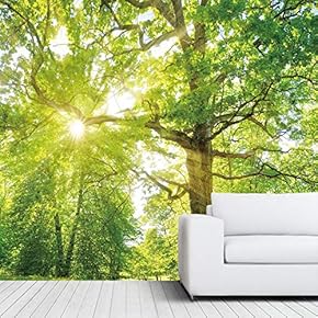 signwin Wall Mural Green Forest Nature Landscape Removable...