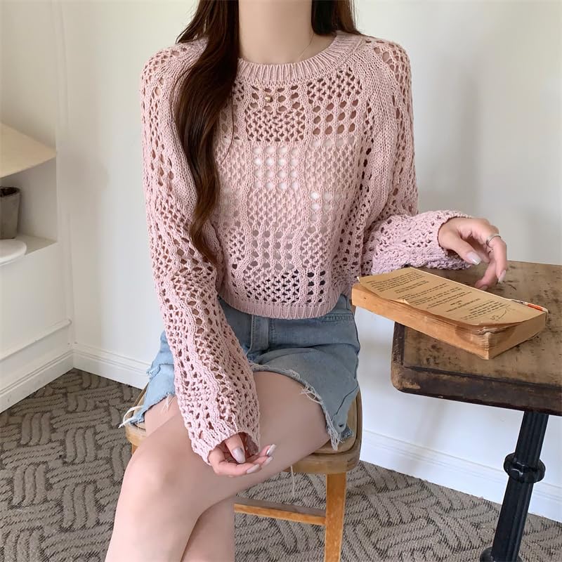 Image of ICW Women's Knitted Crochet Transparent Long-Sleeve Hollow Out Sheer Pullover Top T-Shirt Sweater Dn61 (One Size Fit XS-S-M-L)