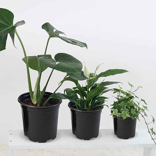 Miniatura 5 de RAOOKIF Paquete de 50 macetas de 1 galón con agujeros de drenaje, maceta de vivero de 7 pulgadas para plantas, macetas de inicio de semillas para