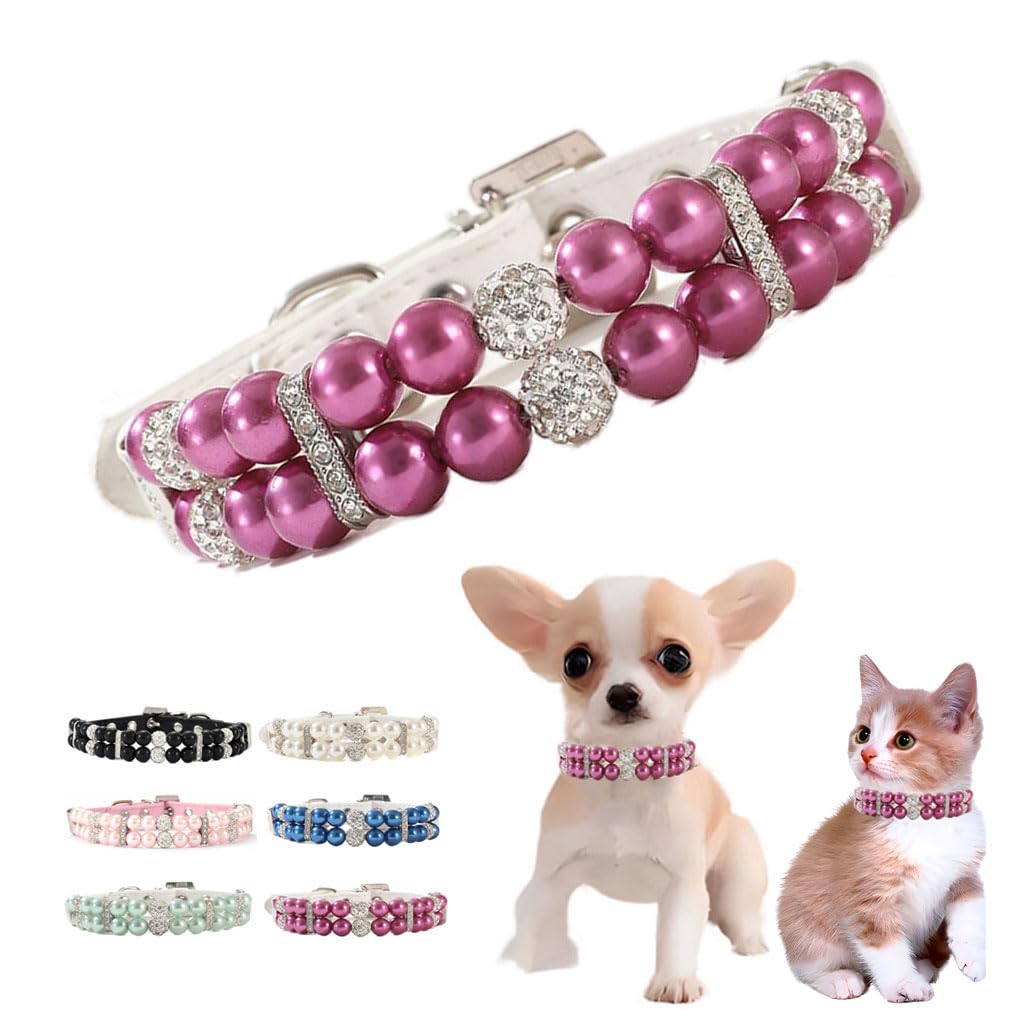 Collier perles violettes contre le look banal des petits chats