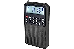 YF39 3-in-1 Portable AM/FM Radio Bluetooth MP3 Player Voice Recorder