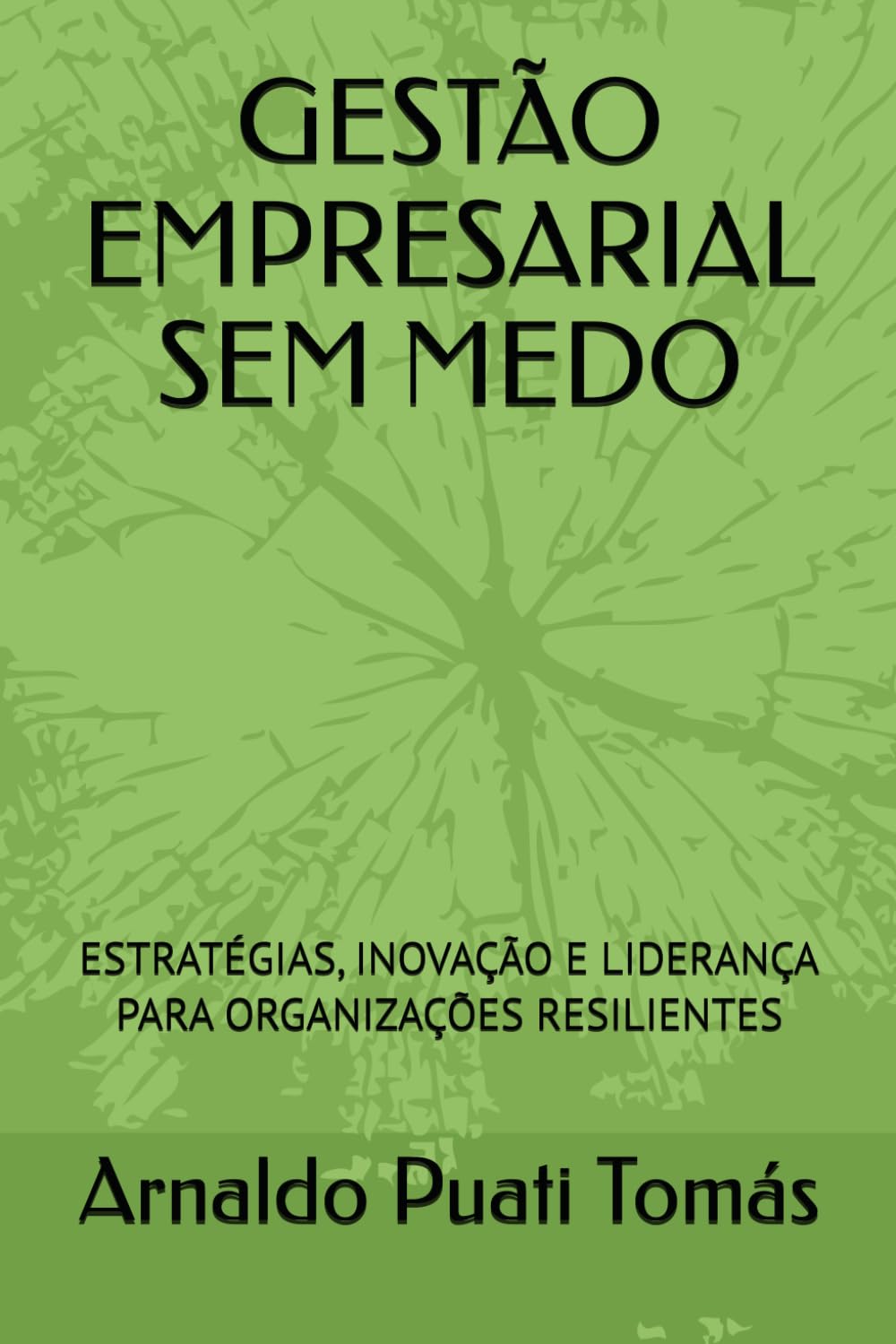 GESTÃO EMPRESARIAL SEM MEDO: ESTRATÉGIAS, INOVAÇÃO E LIDERANÇA PARA ORGANIZAÇÕES RESILIENTES (Edições Académicas Arnaldo Puati Tomás)