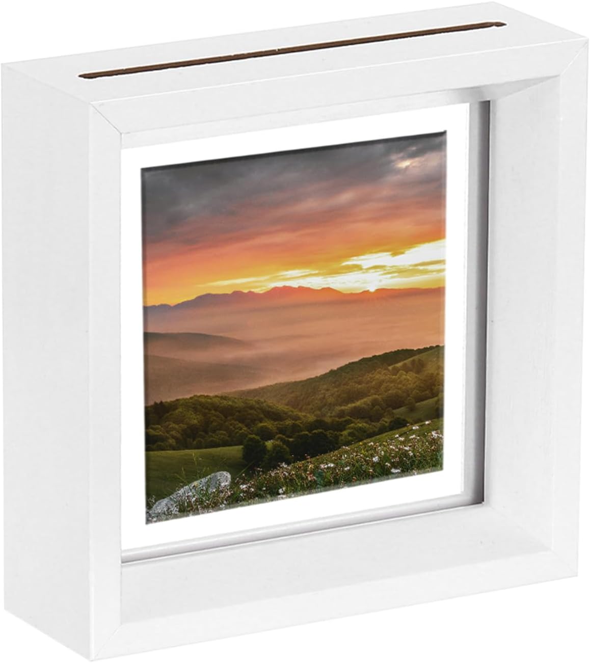 MECCANIXITY Floating Frame, 8 x 12 Inch Natural Wood Pictures Frames for Pressed Flowers Standing Wall Hanging Picture Collection, White