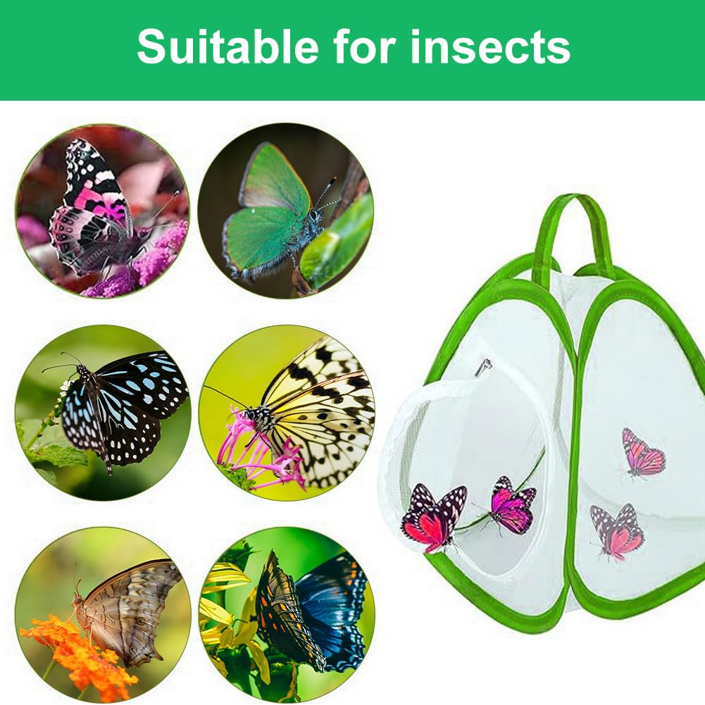 Gabbia per Farfalle in Mesh Pieghevole per Habitat Piante e Insetti