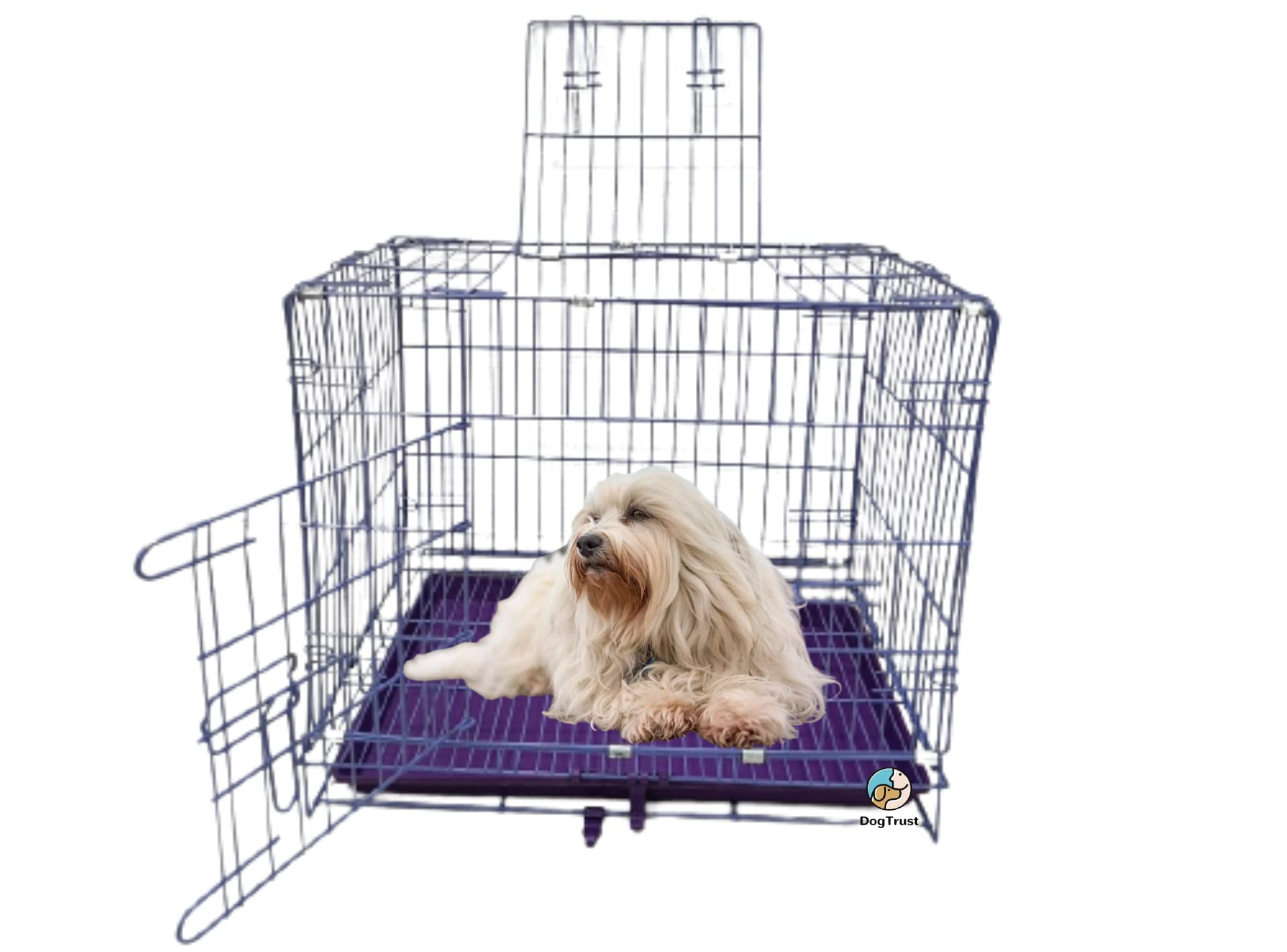 DOG TRUST Metal cage 24 inch cage Double Door with Removable Tray Durable and stong qualiity 24 inch cage (Purple) (B0C5RR2C4V) Amazon Price History, Amazon Price Tracker
