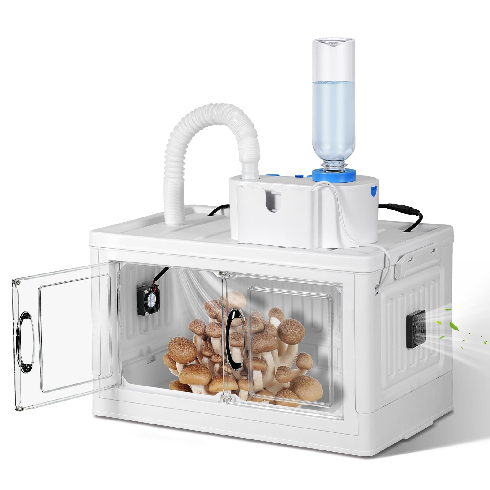 Kit de culture de champignons - Boîte de culture de champignons avec indicateur d'humidité - Kit intelligent pour plantes champignons - Pliable - Pour spores de champignons - Pour la culture