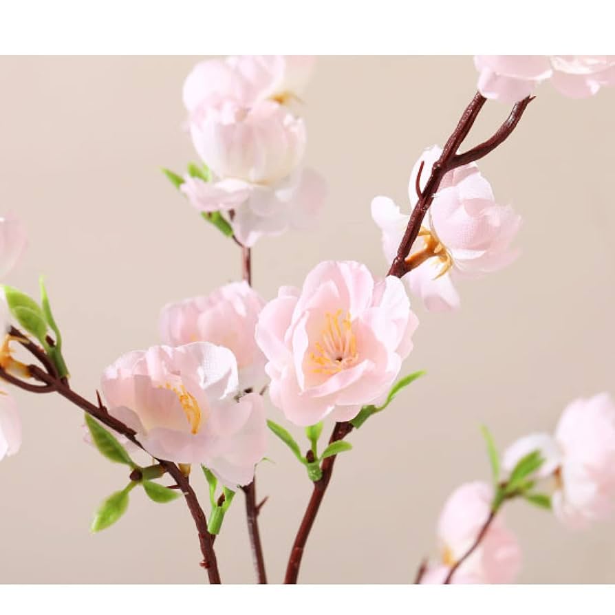 桃の花 51Kud+oqouL._UF350,350_QL50_.jpg