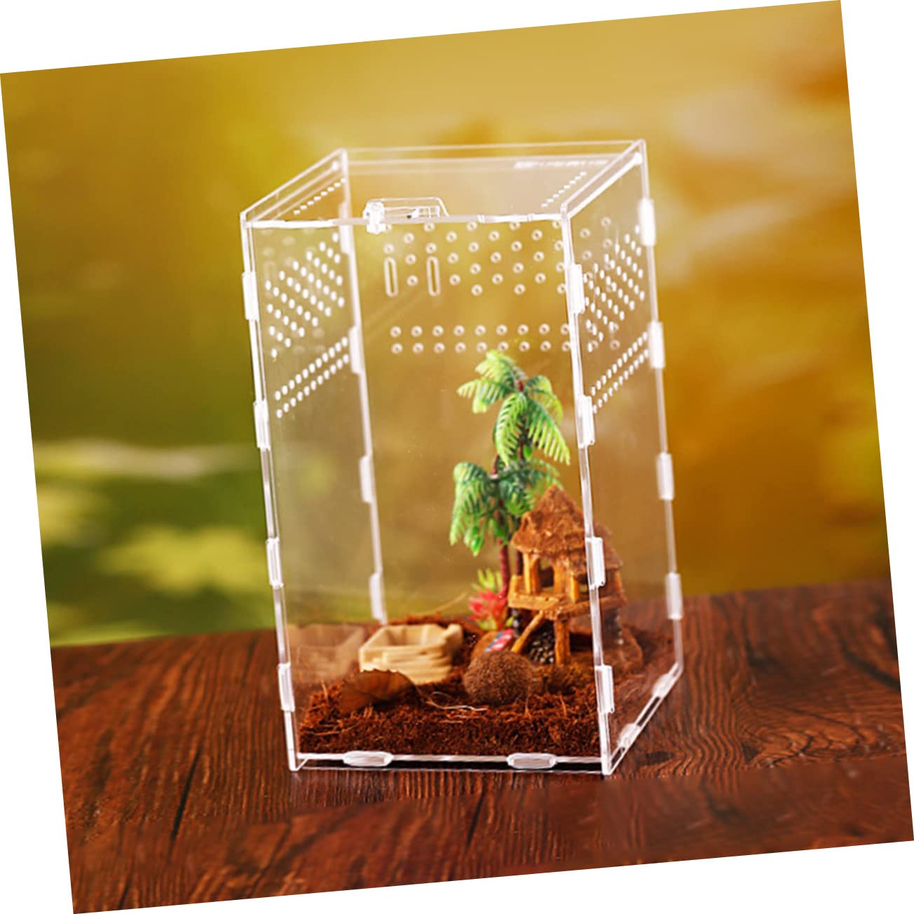 IMIKEYA Cage De Transport Transparente pour Reptiles Nichoirs pour Reptiles Accessoires pour Terrariums Bacs Alimentation pour