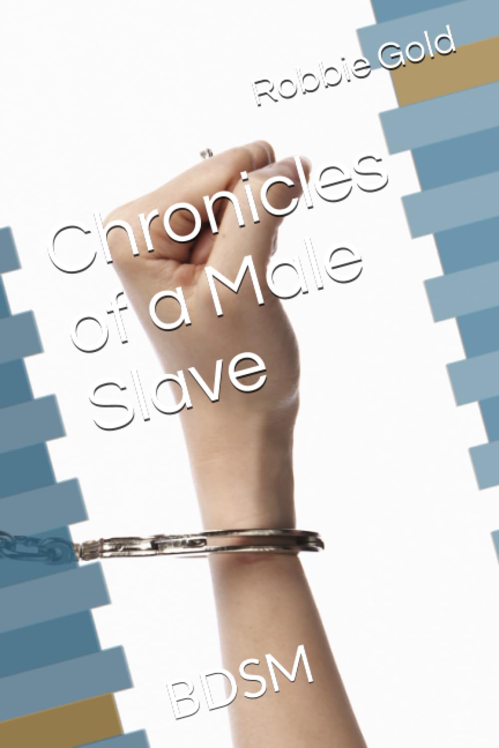 Chronicles of a Male Slave: BDSM