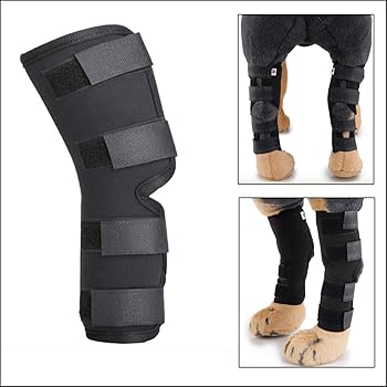labra canine knee brace