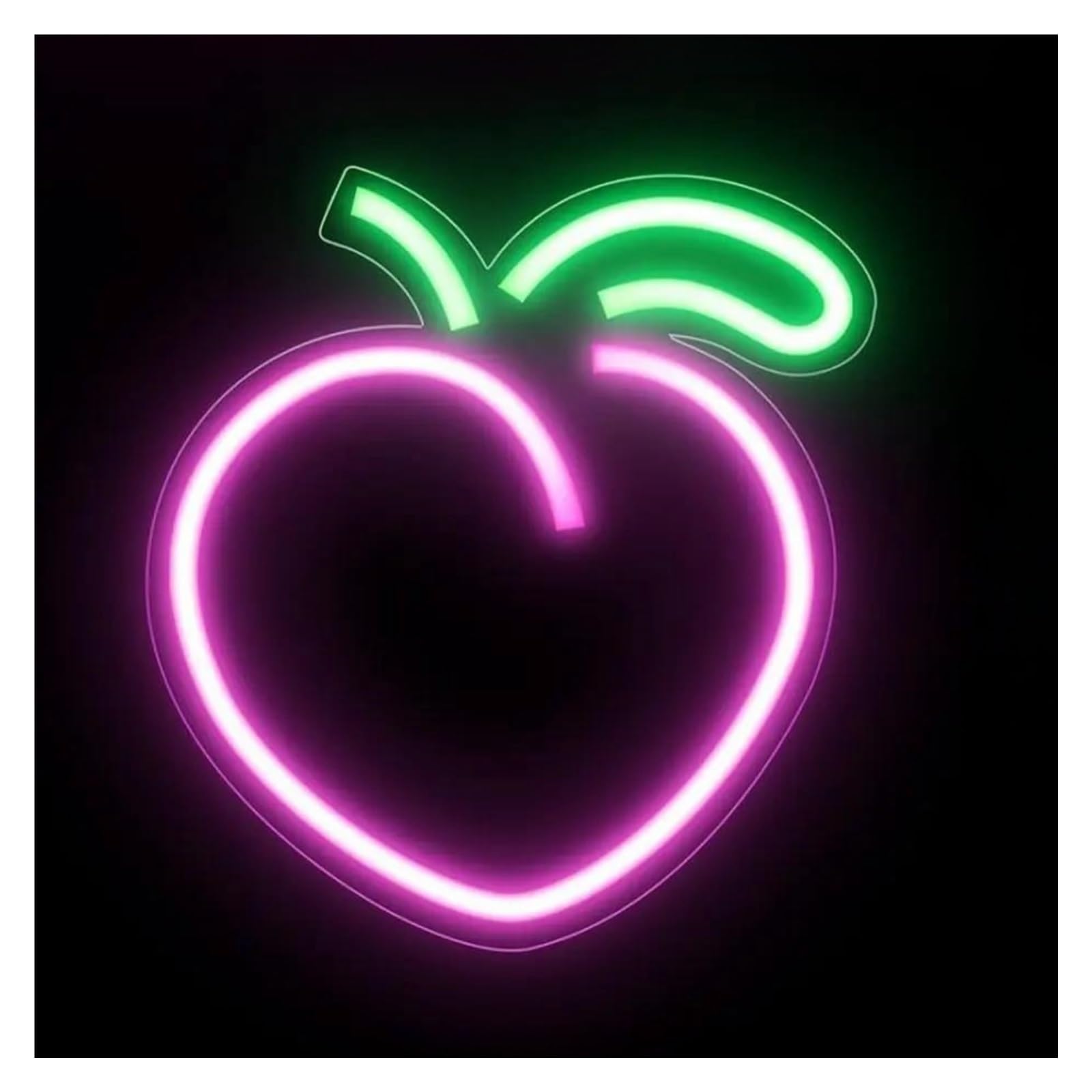 Per pesca per rosa per luci al per neon per alimentazione per Luminosità regolabile Pesca per per neon