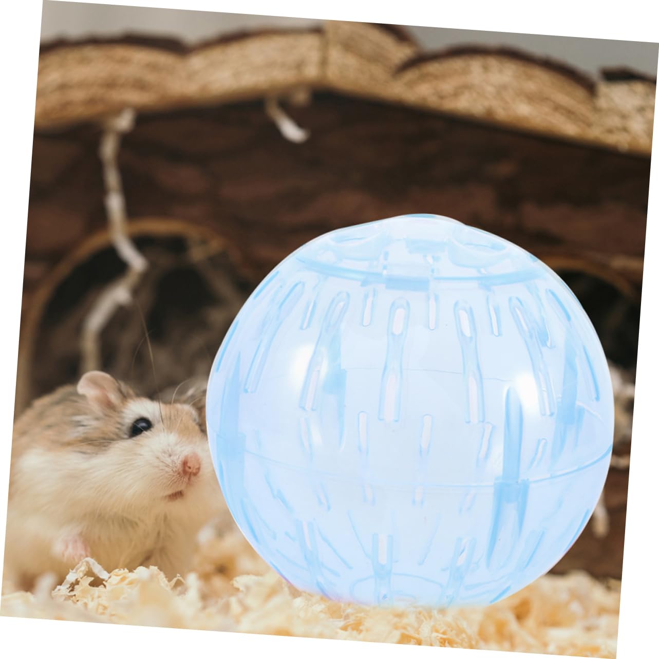 INOOMP 5stücke Funny Hamster Transparente Laufkugel Mit Belüftungsöffnungen Für Kleintiere Sicheres Und Langlebiges Spielzeug Für Hamster Chinchillas Und Ratten Fördert Gesunde