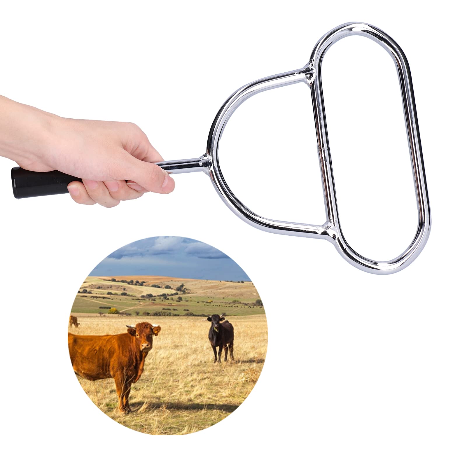 Veterinary Cattle Mouth Opener - Metal Animal Mouth Dilator Tool For Cows, Horses, Sheep, Pigs (36.3 Cm / 14.3 In)
