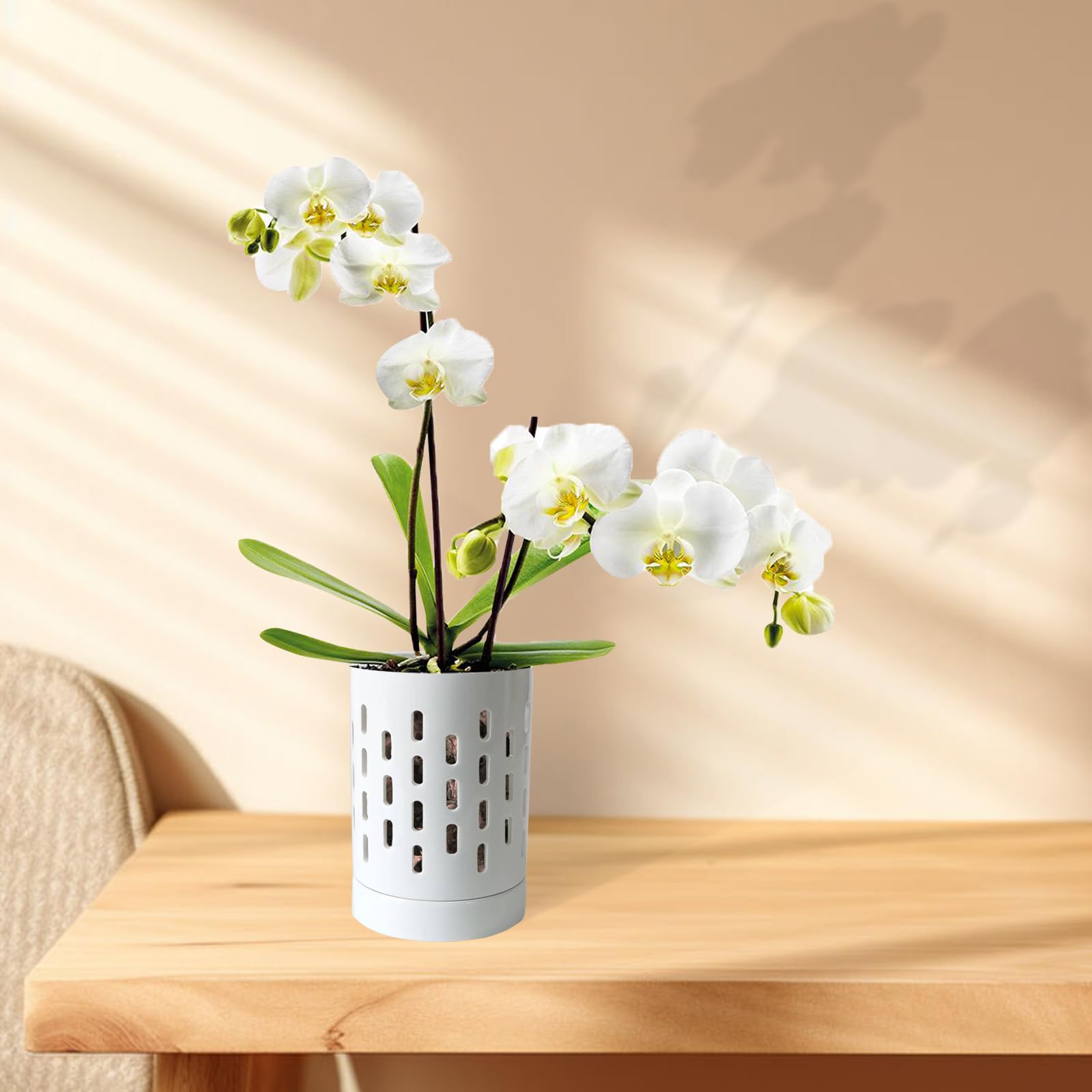 Lanccona Orchideentöpfe Mit Untersetzern – Set Aus 8 Töpfen In 4 Größen (10,2-17,8 Cm), Transparent